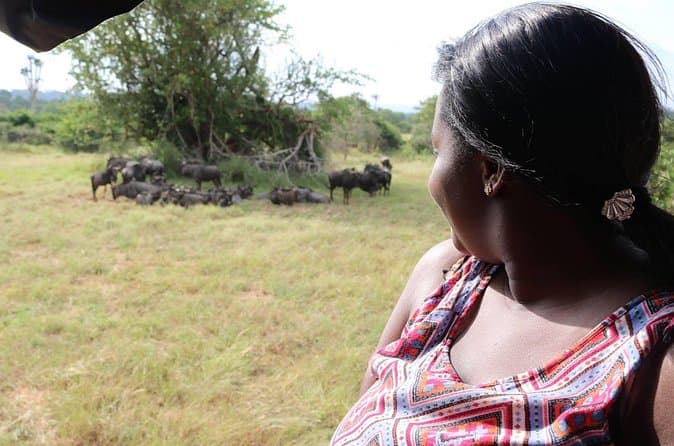 Best Kissama National Park Safaris in Luanda