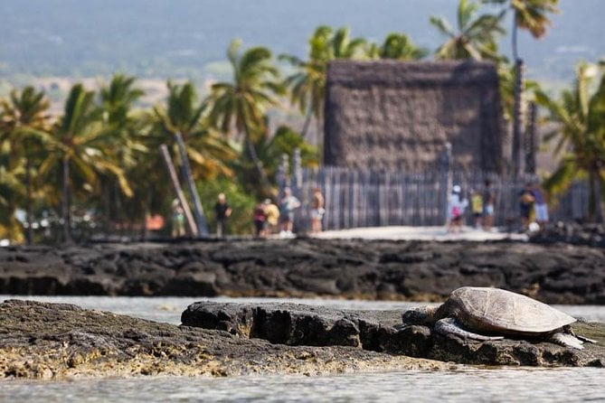 Historic Kona Escape