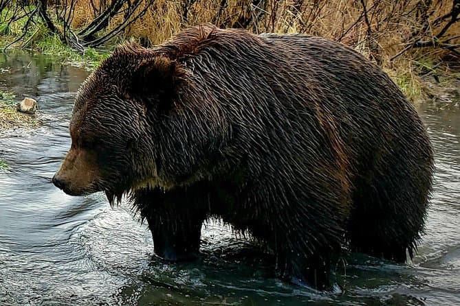 Unforgettable Portage Glacier Cruises in Anchorage, Alaska