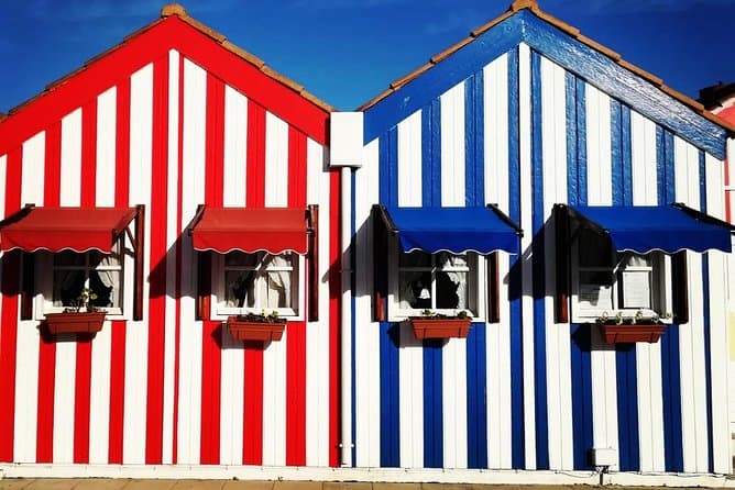 Premium Private Transfers: Porto to Lisbon in Comfort