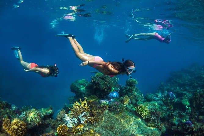 Unforgettable Island & Reef Adventures in Viti Levu