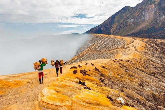 Compare Best Bromo & Ijen Blue Fire Tours
