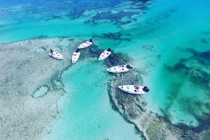 Key West Island Adventure Eco Tour