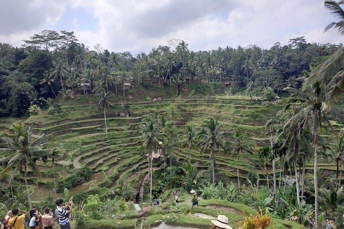Ubud Tour - Kintamani Volcano Tour