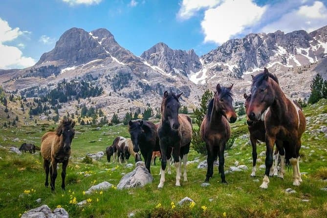 Top-Rated Sarajevo Mountain Hikes & Trails