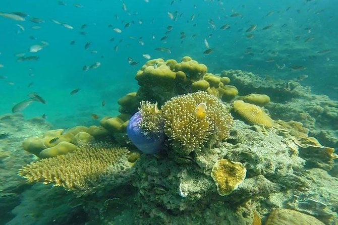 Koh Lanta 4 Islands & Emerald Cave Speedboat Tour