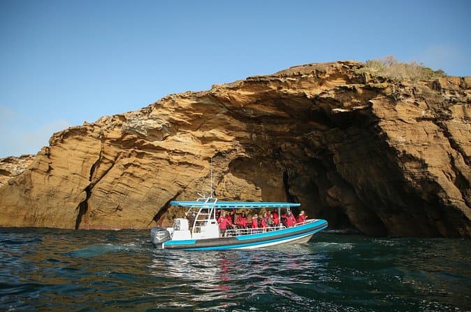Compare Top Port Stephens Dolphin Cruises Near Newcastle