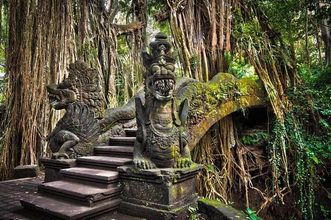 Best Ubud Day Trips & Cultural Tours from Kuta