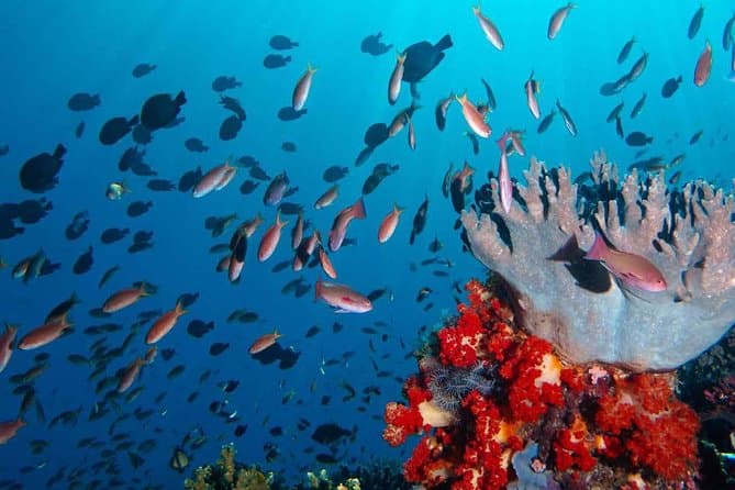 Best Komodo National Park Tours & Island Adventures