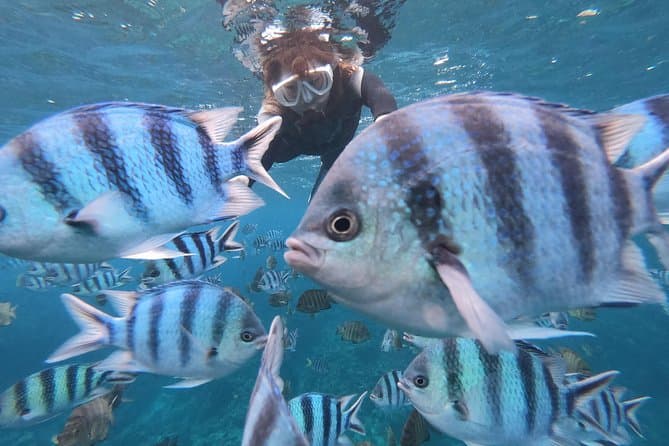 Blue Cave Snorkeling in Onna-son: Okinawaâs Glow