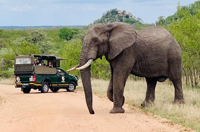 Kruger Safari - Hazyview