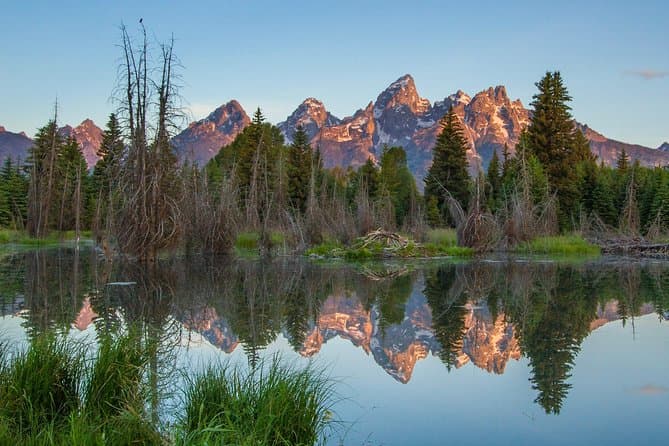 Best Grand Teton & Jackson Hole Tours Compared