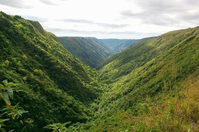 Best Shillong Day Trip: Explore Meghalaya from Guwahati