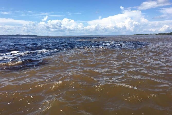 Top-Rated Amazon River Tours in Manaus