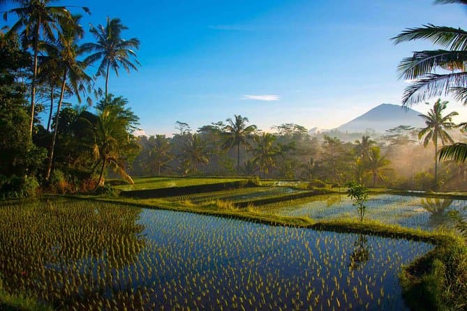 Master Your Lens: Professional Ubud Photography Tours