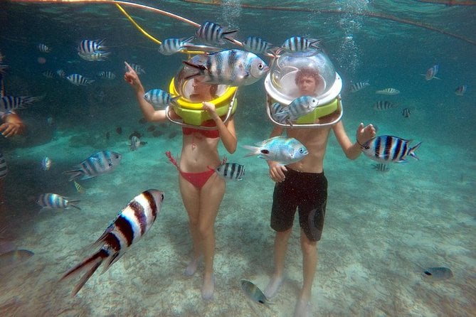 Ile Aux Cerf Full-Day Tour