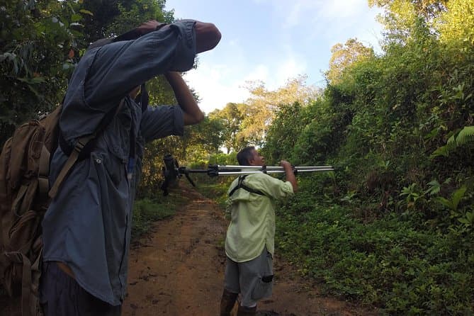 Drake Bay Birding Tour