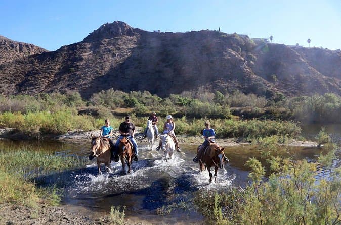 Best Ensenada Horseback Riding Experiences