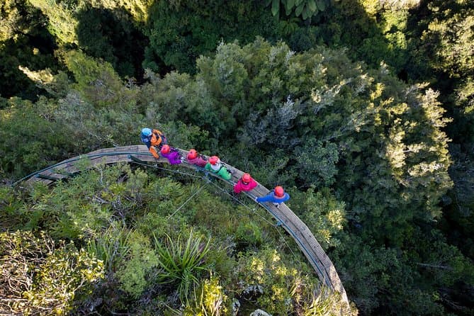 Unforgettable Rotorua Zipline Adventures & Forest Tours