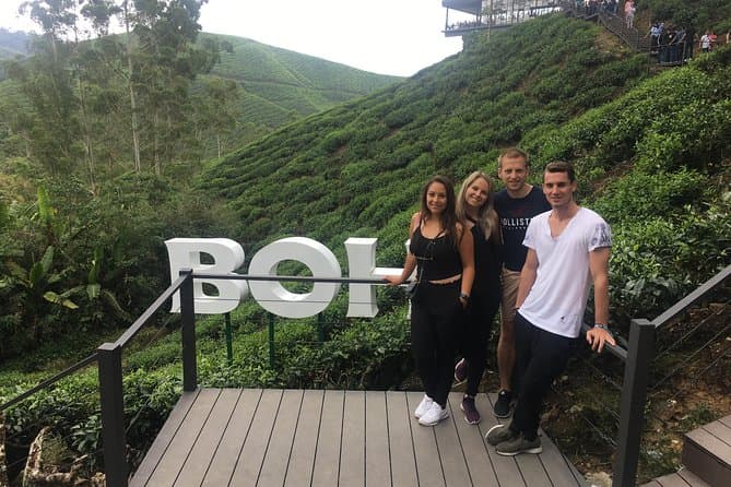 Best Cameron Highlands Day Tour from Ipoh | Book Now
