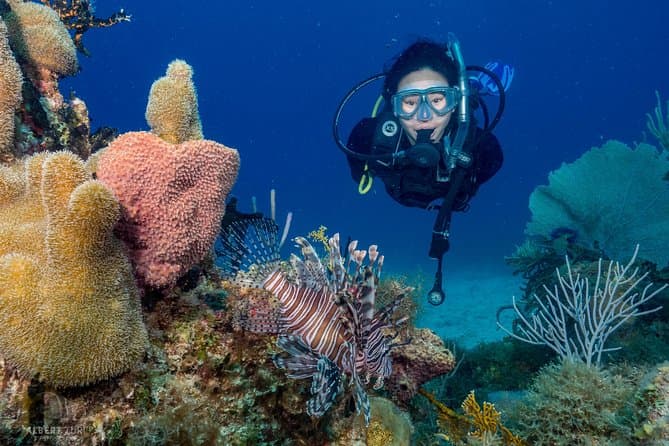 Compare Top Bayahibe Diving Tours