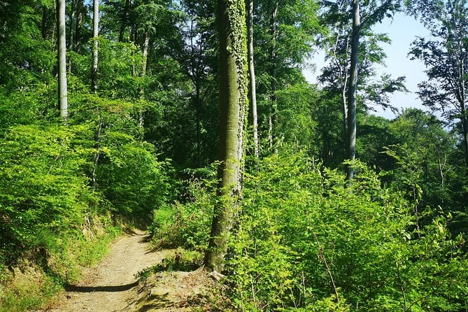 Medvedgrad Fortress Hike