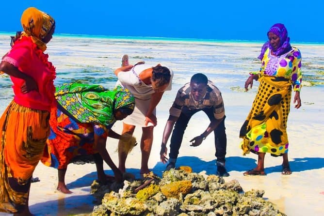 Authentic Jambiani Village Tours & Cultural Experiences