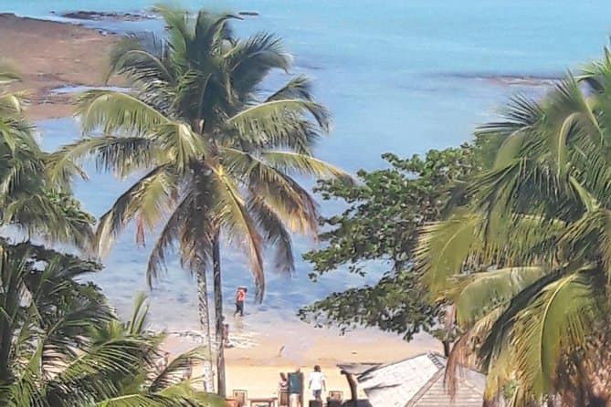 Best Espelho Beach Tour: Porto Seguro's Hidden Paradise