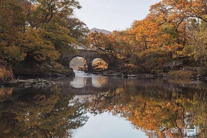 Unforgettable Lakes of Killarney Boat Cruise Experiences