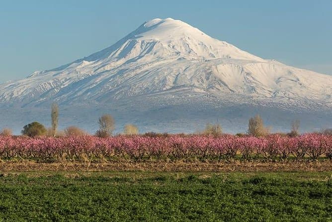 Compare Best Armenia Wine Tours in Yerevan