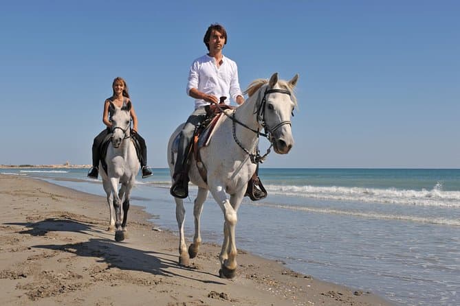 Unforgettable Horseback Riding Tours in Bodrum, Turkey