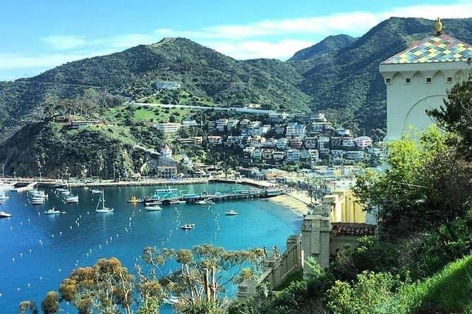 Catalina Island Scenic Tour