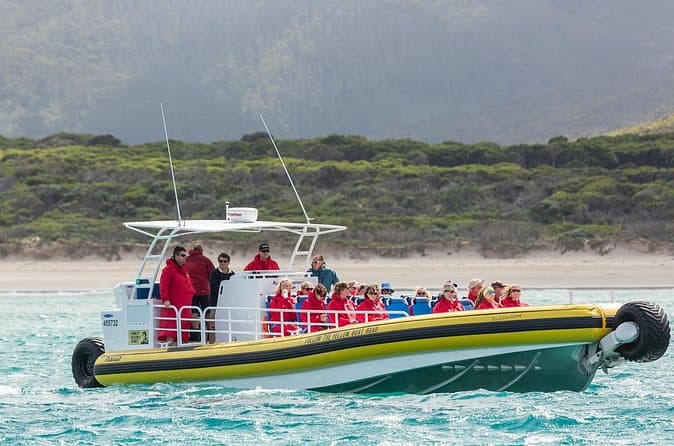 Best Wilsons Promontory Cruises & Tours