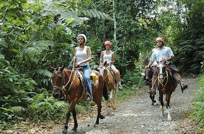 Compare Best Horseback Rides in Quepos