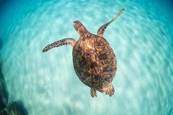North Shore Tour - Oahu