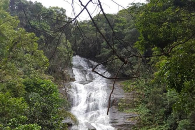 Tijuca Forest Tour