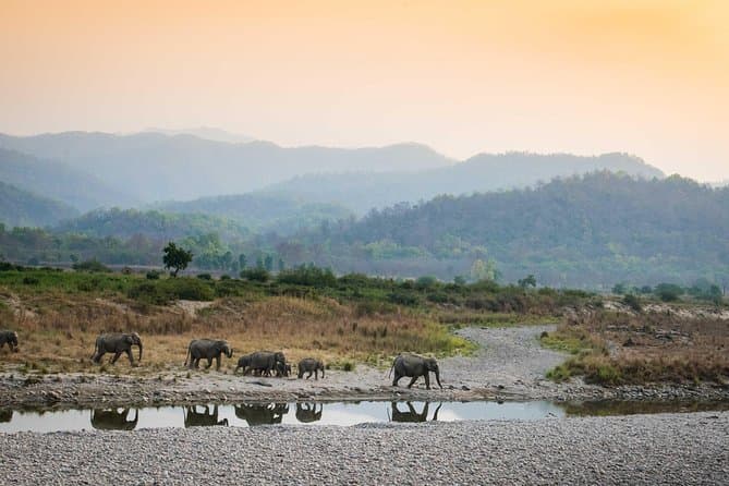 Best Chilla Range Jeep Safari Tours