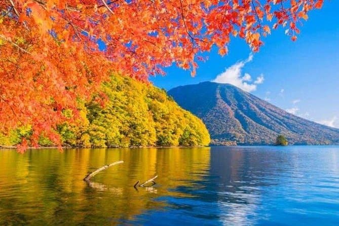 Exclusive Nikko Private Tours & Bespoke Travel Experiences