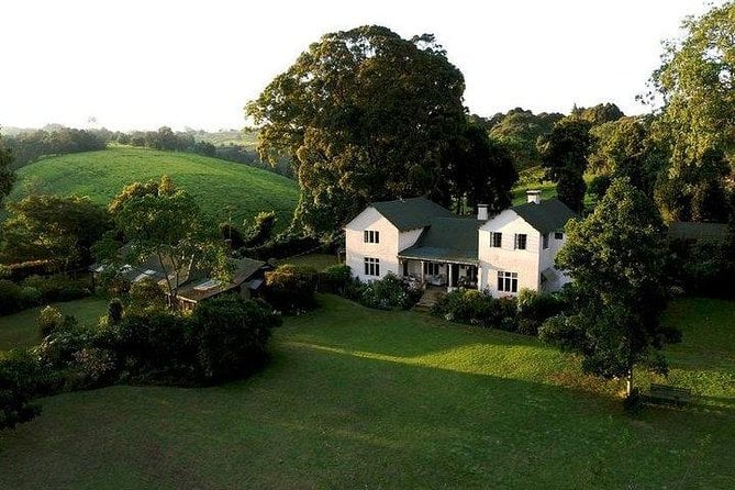 Kiambethu Tea Farm Tour