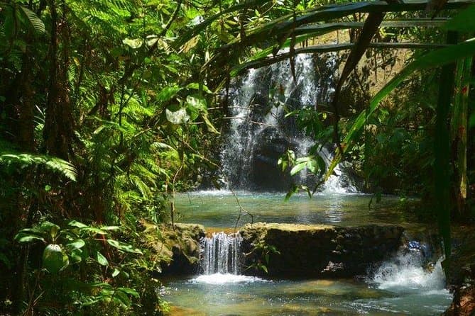Suva City Tour Adventure