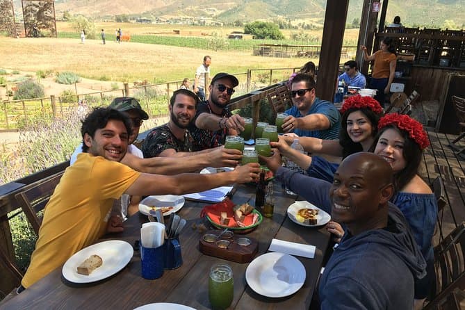 Compare Top Valle de Guadalupe Winery Tours