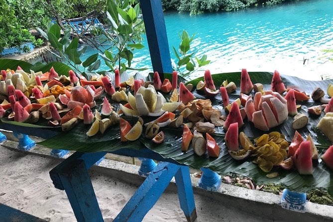 Blue Lagoon & Eden River Tour
