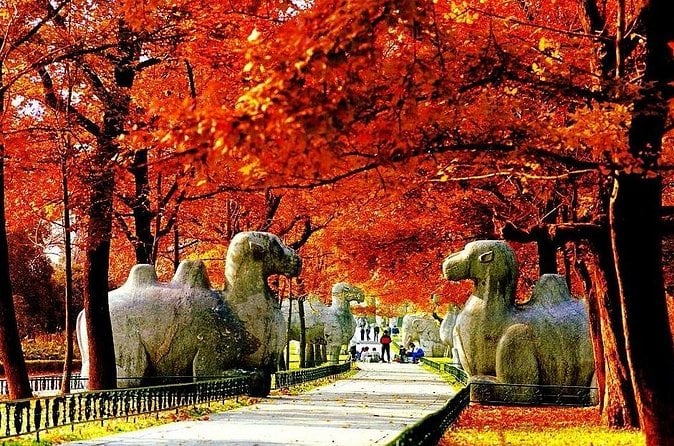 Nanjing Purple Mountain Tour