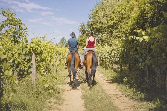 Montepulciano Vineyard Horseback Ride