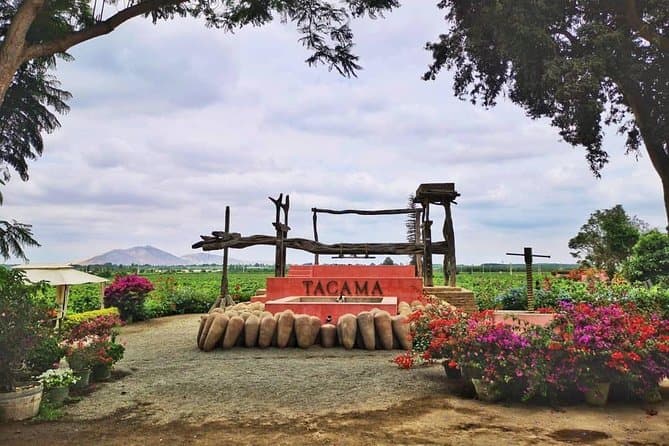 Authentic Ica Pisco & Wine Tasting Experience