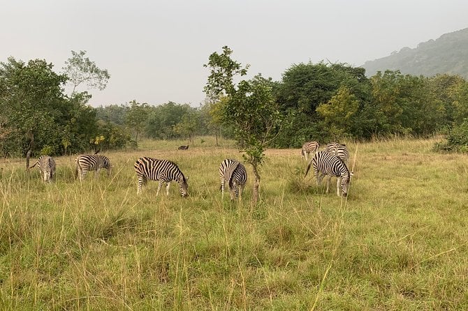 Shai Hills & Volta Lake Cruise