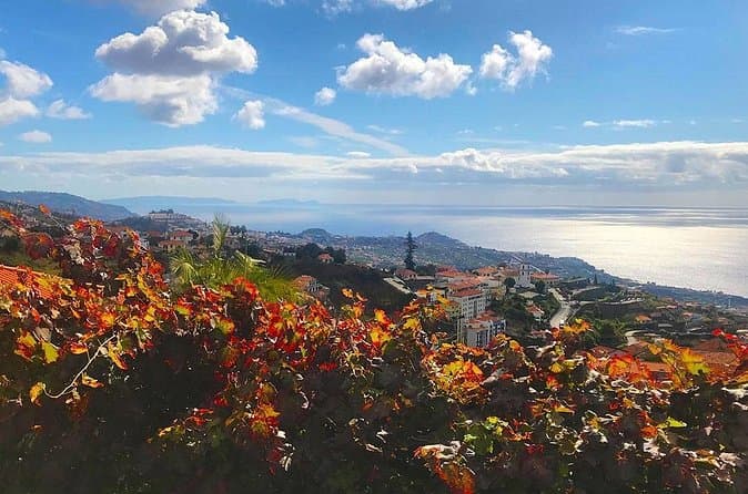 Compare Top Levada do Norte Tours in Funchal