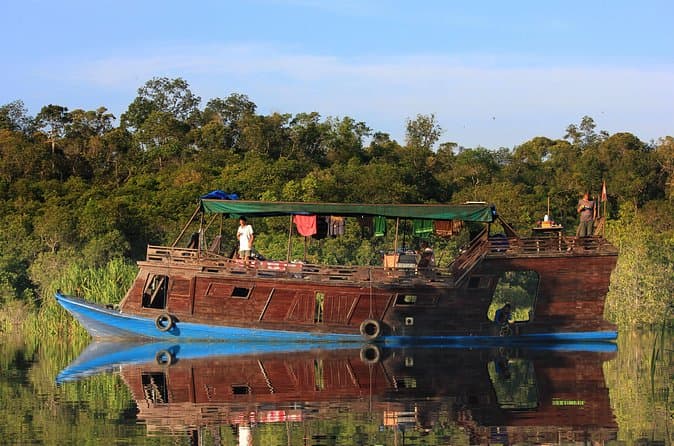 Wildlife Safari: Orangutan Tours in Tanjung Puting