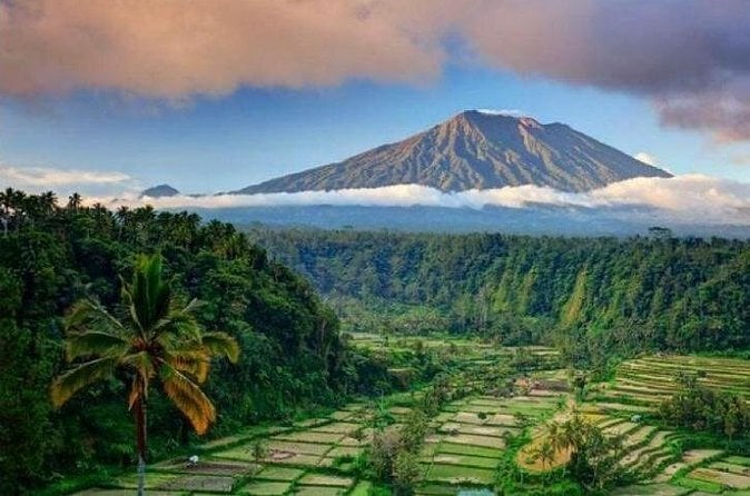 Bali Private Car Charter - Kuta