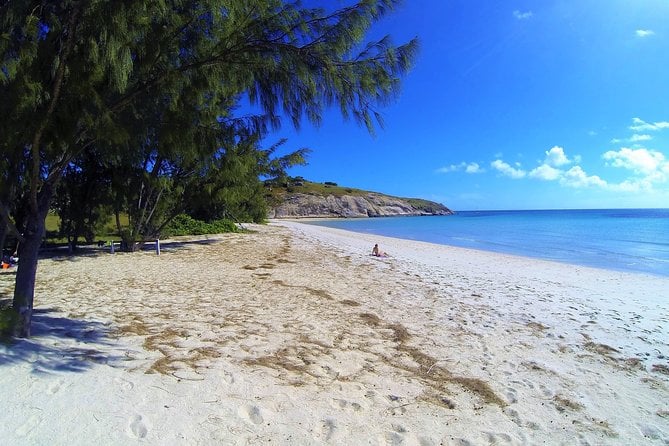 Fitzroy Island Day Tour